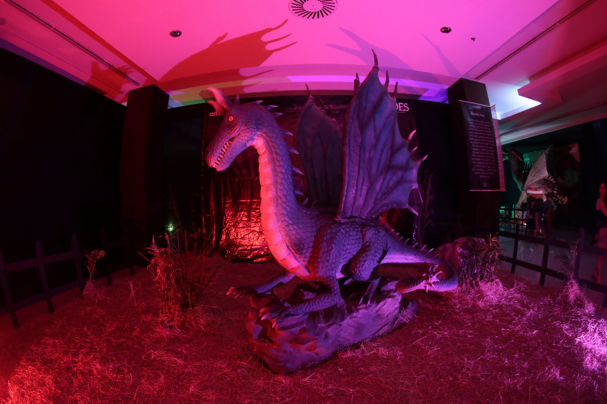 Em breve no RioMar a Exposição Internacional ‘Dragões’