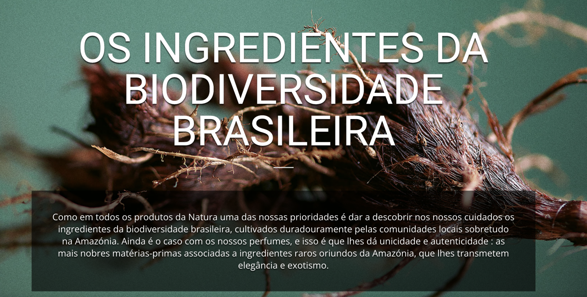Natura inaugura espaço físico da Casa de Perfumaria do Brasil, uma experiência multissensorial