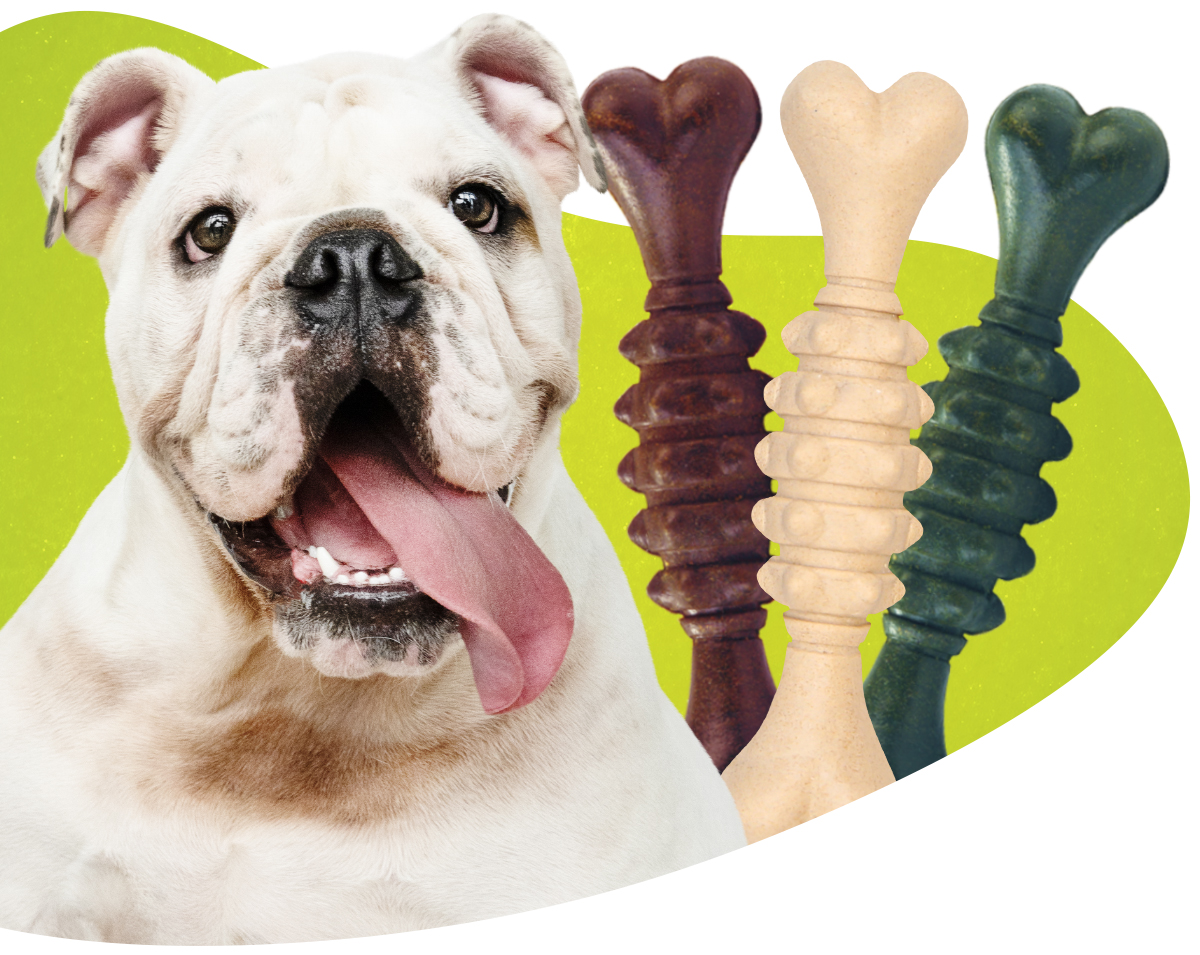 Marca de petiscos oferece produtos naturais que promovem diversos benefícios para a saúde dos cães