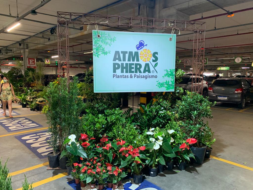 Feira de Plantas acontece no Home Center Ferreira Costa da Tamarineira