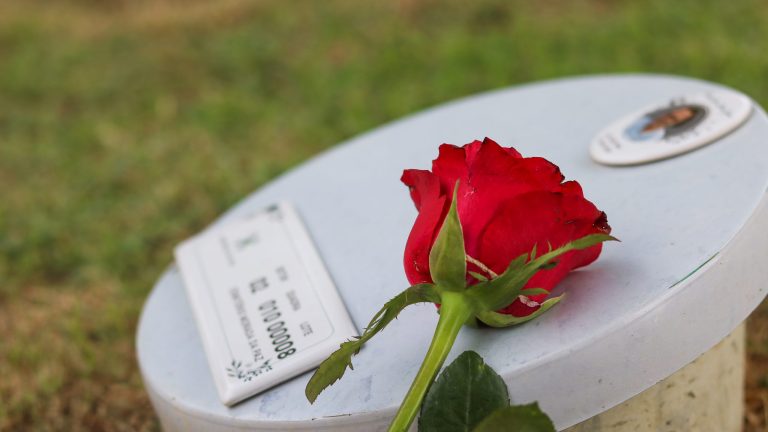 Morada da Paz lança Columbário Parque como solução inovadora para sepultamento de cinzas da cremação