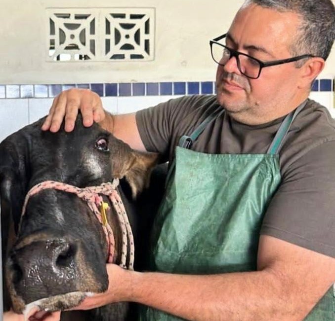 Bem-estar animal: cuidados e responsabilidades com os animais silvestres