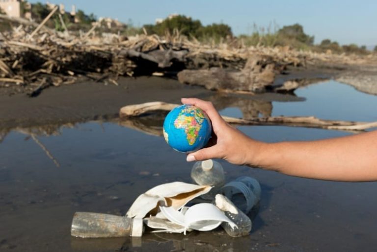 Novos parâmetros para determinação do dano ambiental coletivo