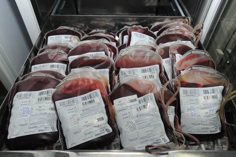 Trote solidário universitário abre a campanha nacional Hemocione de doação de sangue
