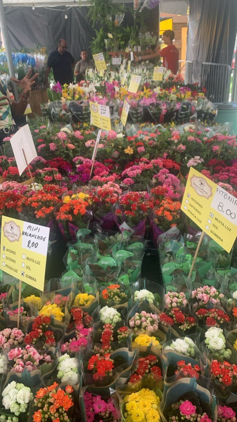 Feira de Flores de Holambra desembarca em Olinda com mais de 200 espécies e preços a partir de R$ 5