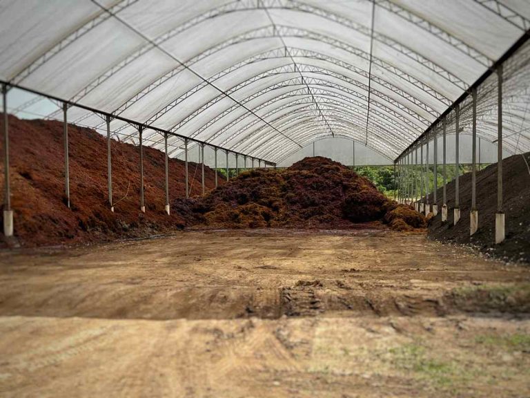 Cooperativa Vinícola Garibaldi reforça compromisso com a sustentabilidade ao expandir economia circular